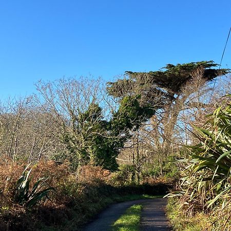 Ancaire Cottage Kilbronogue. Schull ภายนอก รูปภาพ